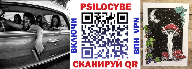 Галлюциногенные грибы Psilocybine cubensis  Лыткарино 