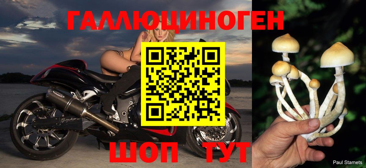 Псилоцибиновые грибы прущие грибы  Вход с VPN  где купить наркотик  Лыткарино  Галлюциногенные грибы Magic Shrooms 